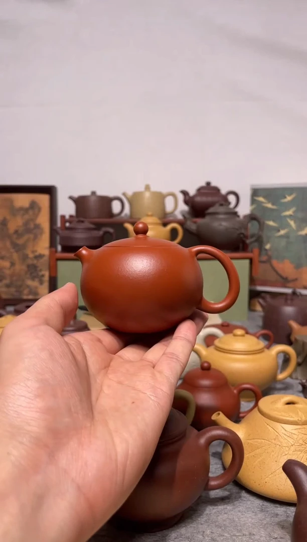 茶杯紫砂黄龙山红泥河豚西施165cc