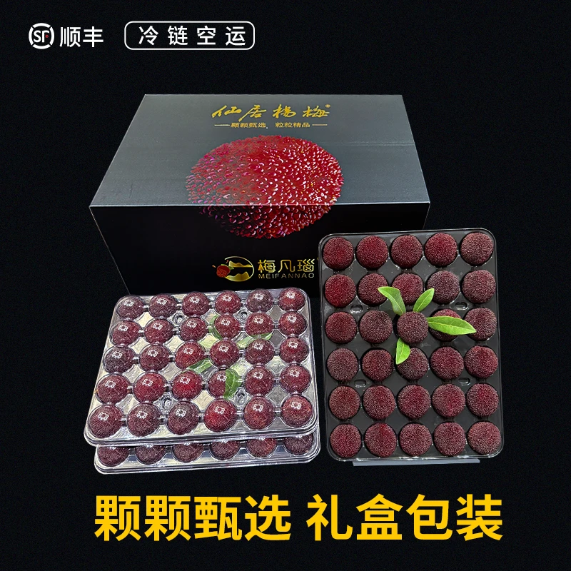 【仙居杨梅】9A大果20-25g正宗东魁杨梅顺丰包邮现摘现发礼盒包装