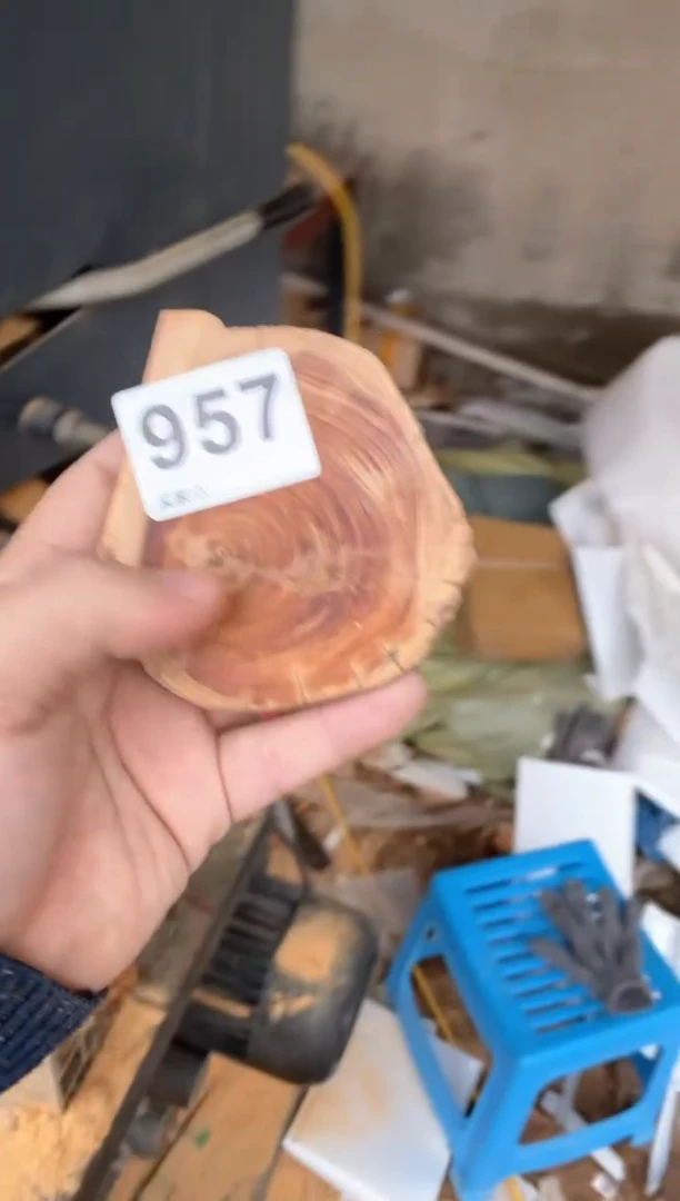 【闪购商品】柏木太行陈化崖柏（津诚林）切片