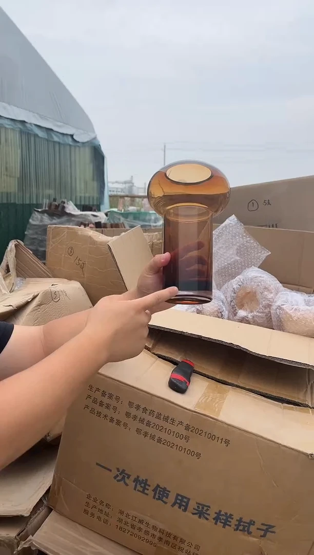 玻璃可插鲜花用于客厅装饰