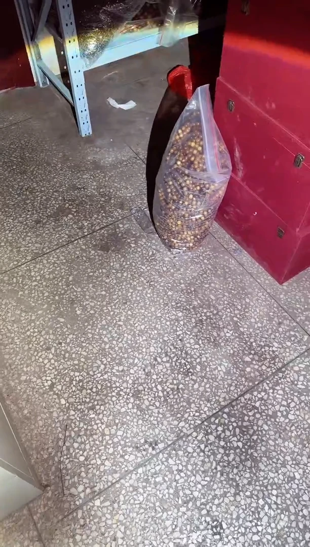 金丝楠椛*酒小叶祯楠135
