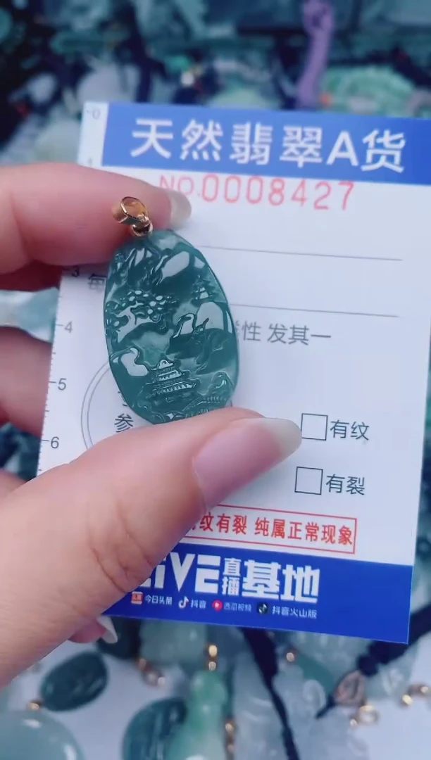 颈饰未镶嵌翡翠00008427