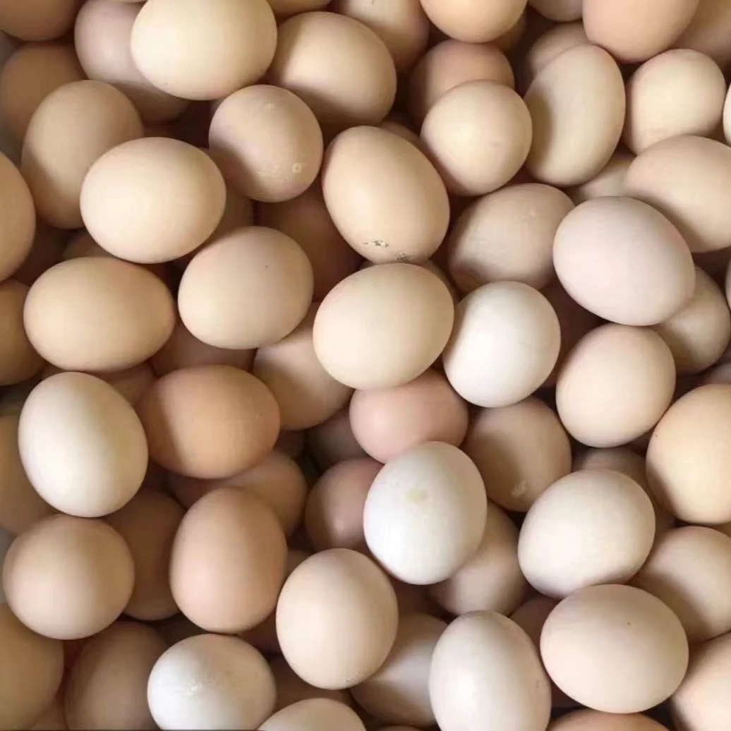 正宗土鸡蛋 初生蛋30枚