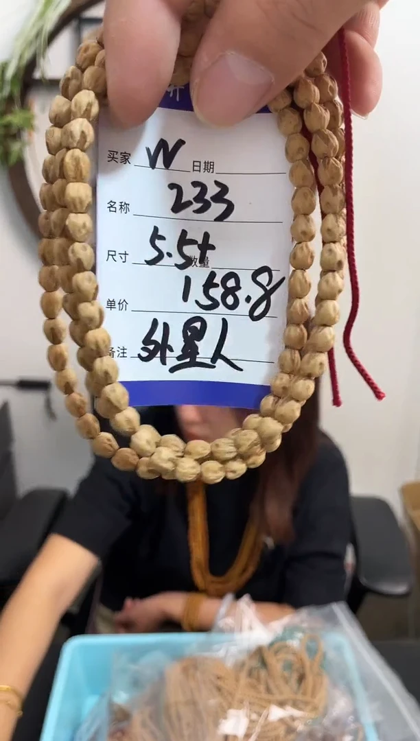 手串柏香籽/百香籽W233外星人