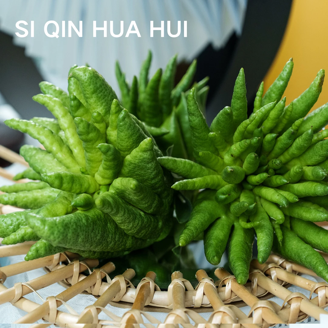 【云南高原佛手一物一拍】天然香薰存放时间长可做干花顺丰包邮