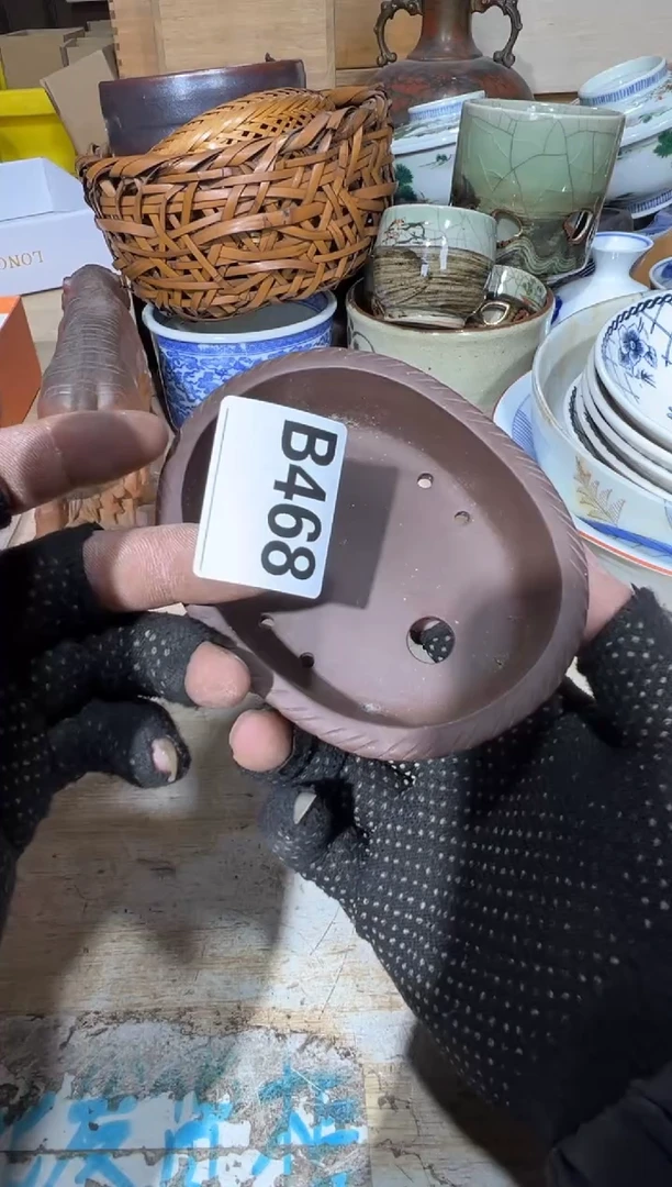 播定闪专用链接直一**经播定闪专用链接直