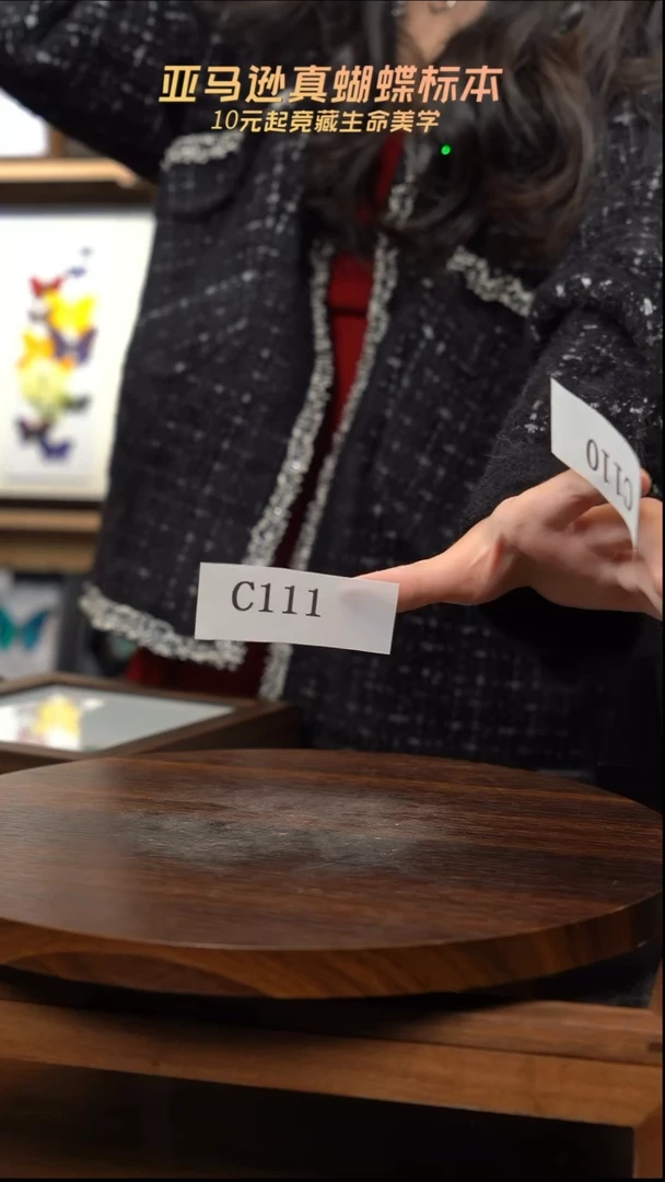 黄绿蝴蝶标本玻璃球款c111