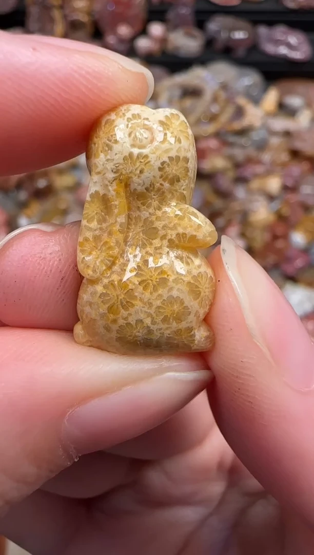 颈饰未镶嵌硅化珊瑚（珊瑚玉）156