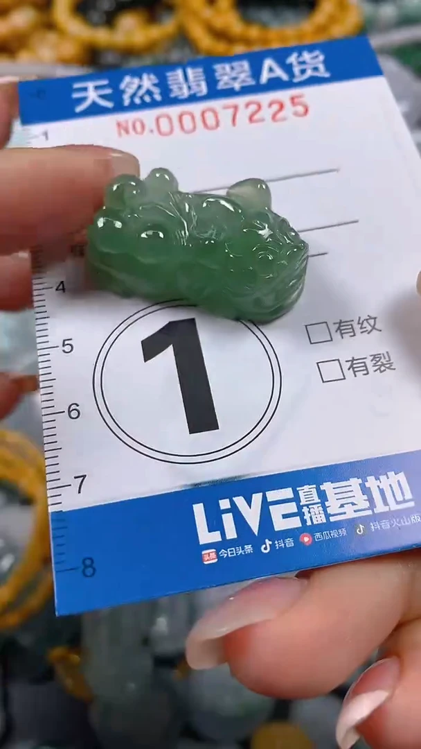 颈饰未镶嵌翡翠闪购0007225
