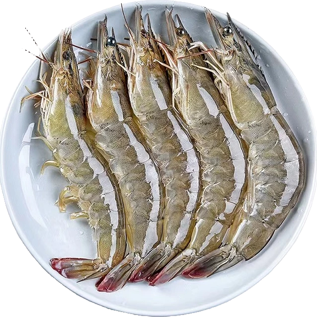 2030特大号 新鲜海洋大虾现货速冻   1斤