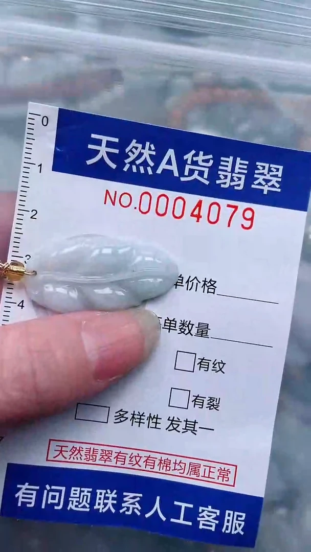 翡翠未镶嵌吊坠(不含链)1