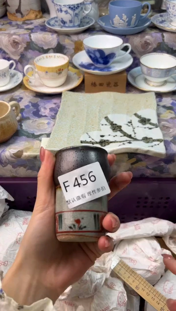瓷片样*瓷片瓷片      F  456