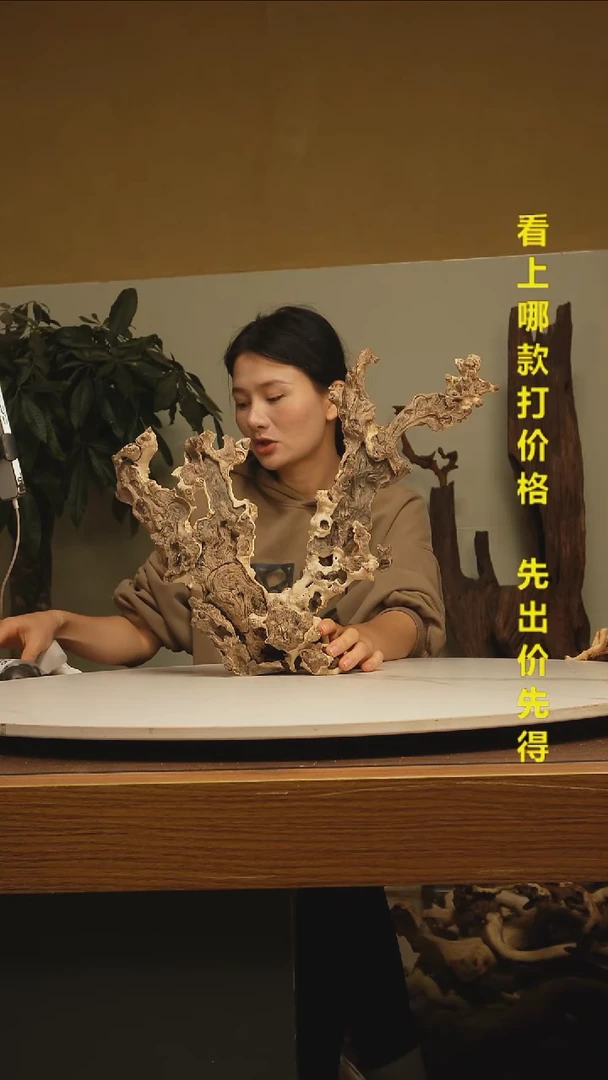 木十*+金丝红木918