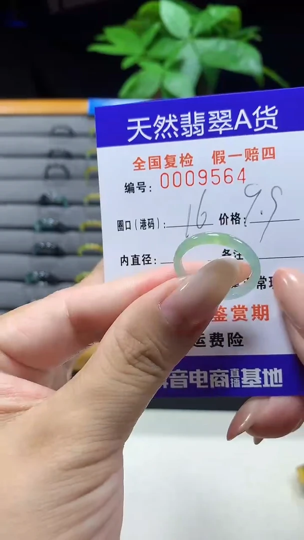 未镶嵌戒指翡翠9564天然翡翠A货