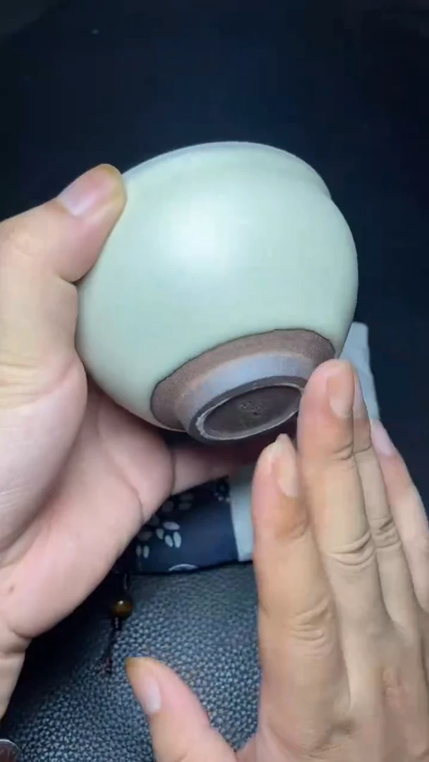 茶盏白贝一一一一一一一一一一一一