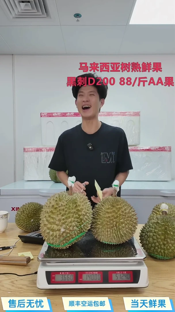 黑刺3.66kg 508 两颗 深圳