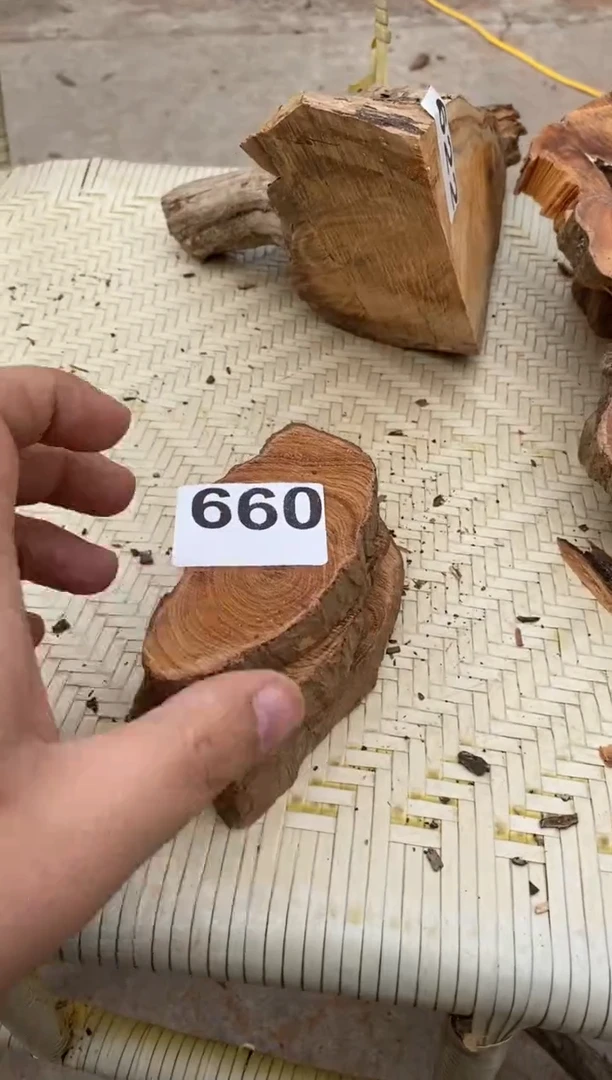 柏木（崖柏）太行陈化崖柏（1单1片）