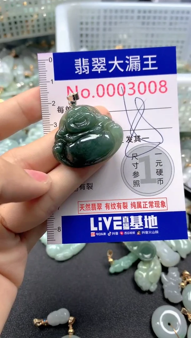 颈饰未镶嵌翡翠3008