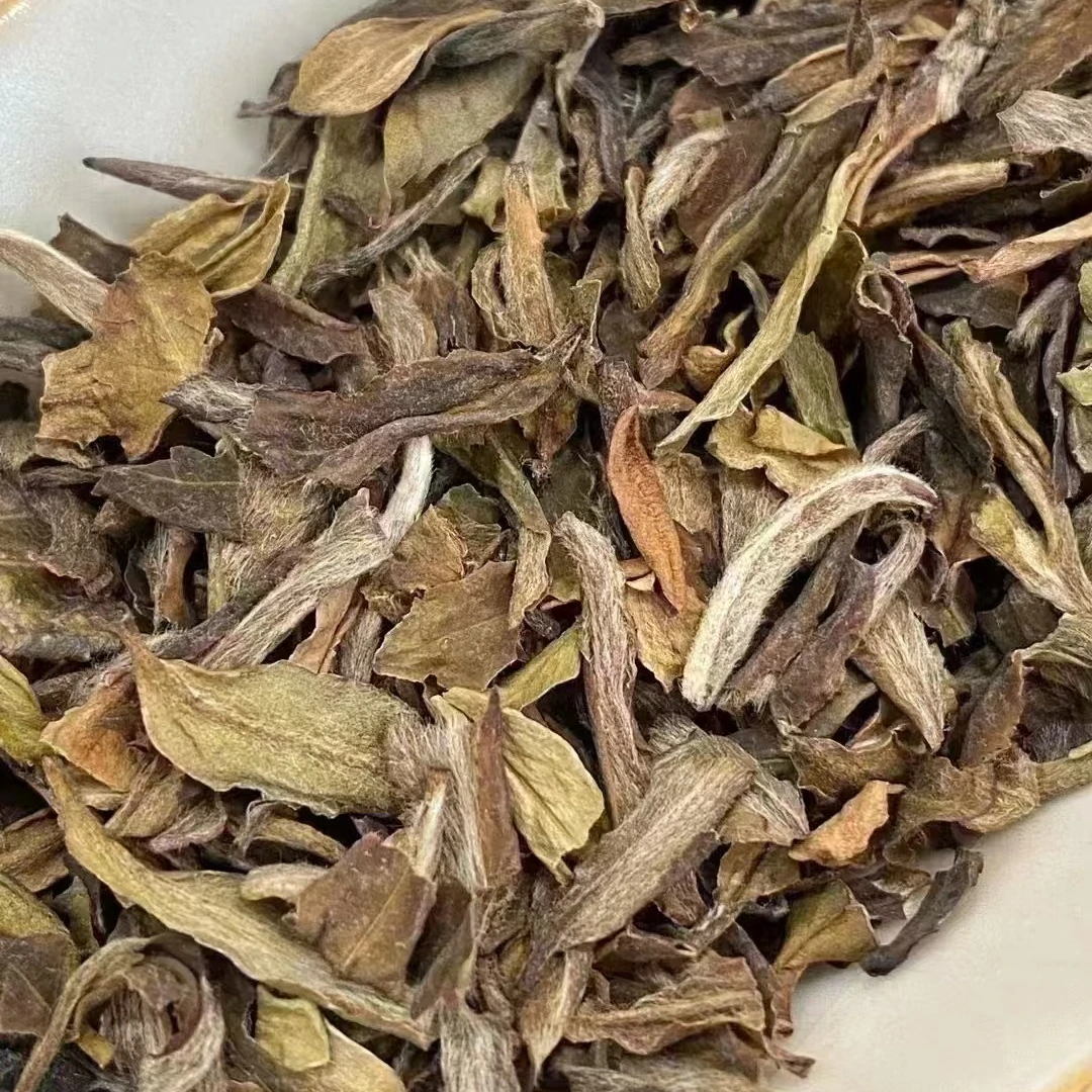 银针平替  2022年  护毫天使小鱼叶 100克 白茶 棠玥