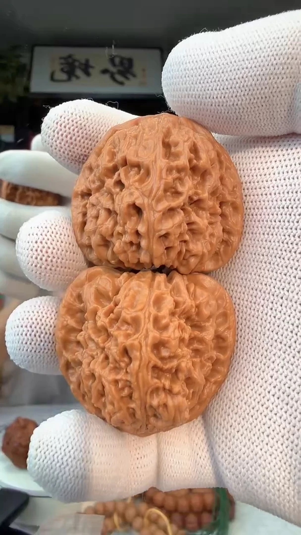 把件龙脊菩提?*?003 全品南疆 44-45