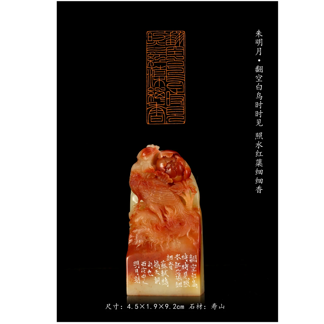 篆刻朱明月SX50121-Z翻空白鸟时时见（14）