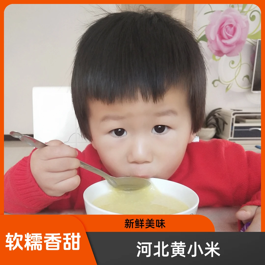 河北黄小米5斤装