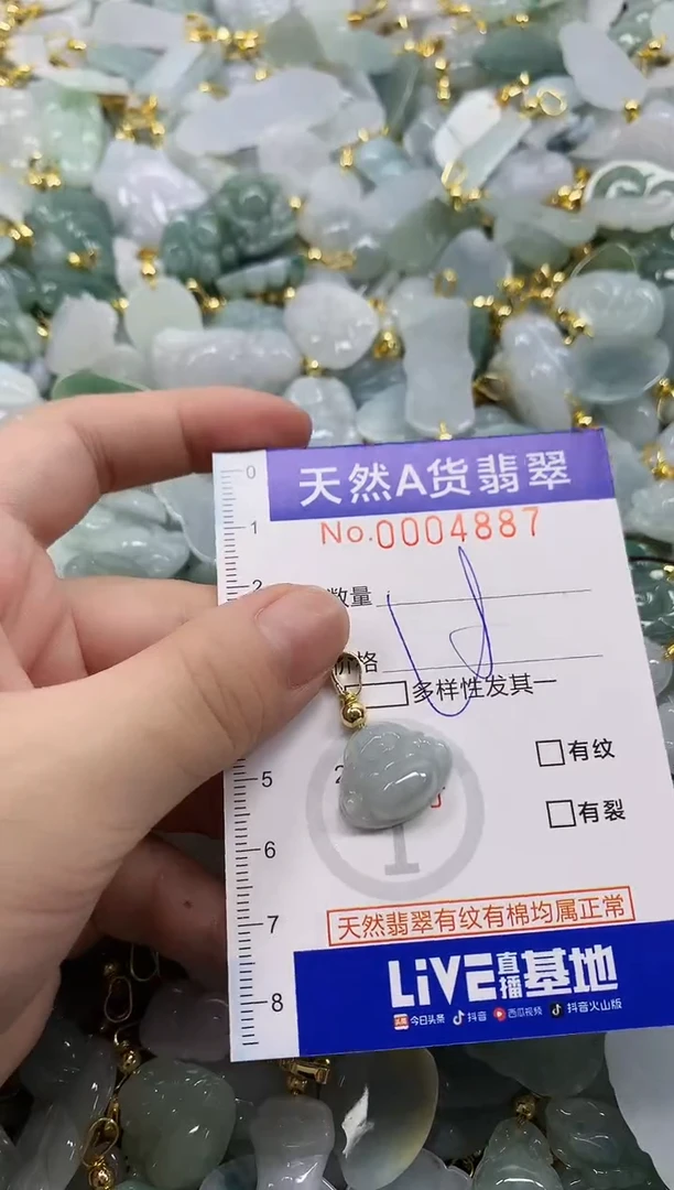颈饰未镶嵌翡翠天然A货翡翠