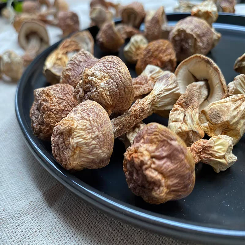 靓货 姬松茸  煲汤煲水好用