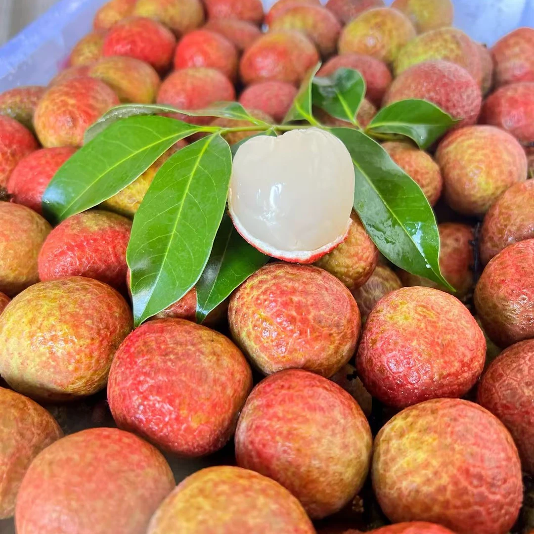 海南现摘桂花香荔枝1-5斤装果园当季头茬当季整箱尝鲜荔枝新鲜海南省