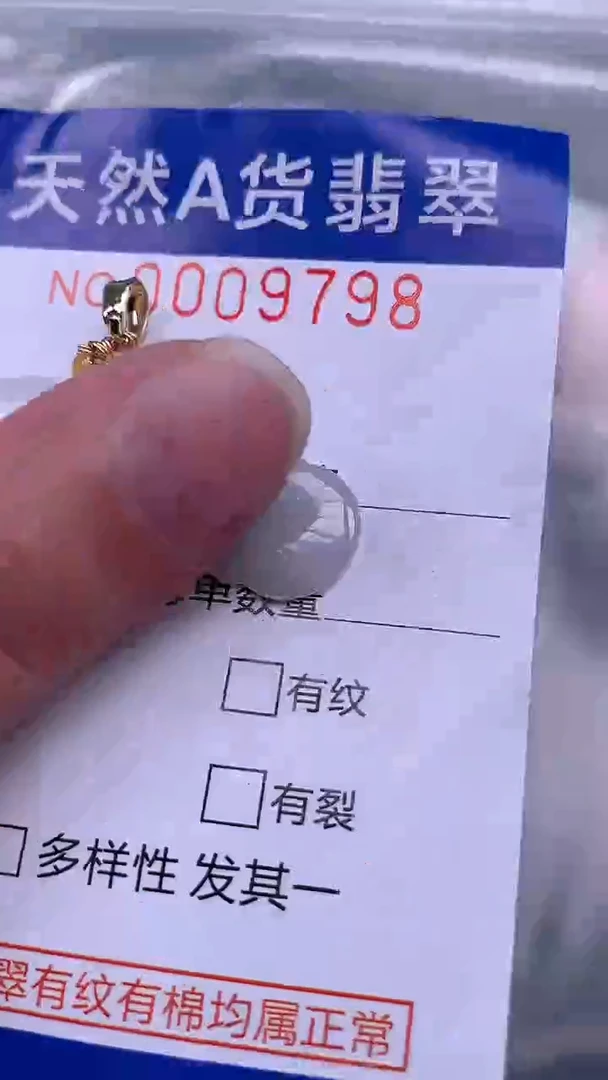 翡翠未镶嵌吊坠(不含链)1