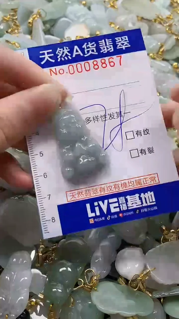 颈饰未镶嵌翡翠纯天然a货翡翠