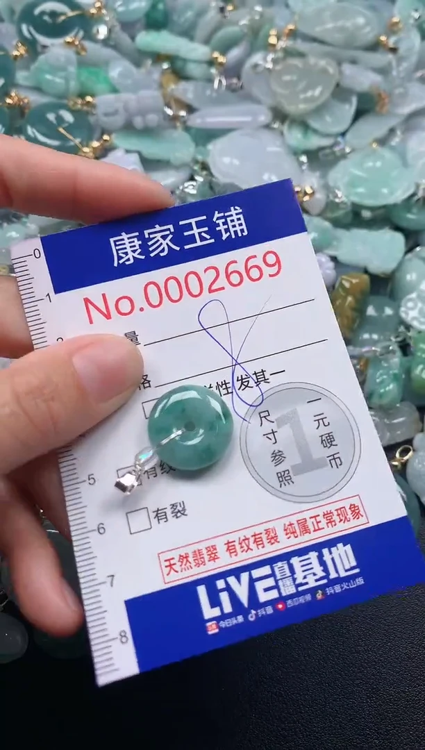 吊坠(不含链)未镶嵌翡翠2669