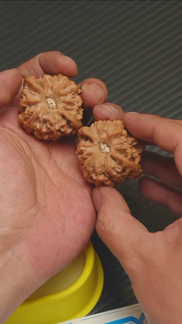 任*精品龙门涧42