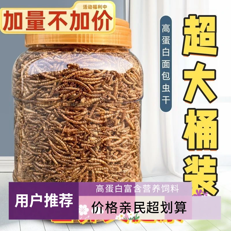 面包虫干高蛋白营养鱼类乌龟鹦鹉芦丁鸡金丝熊乌龟鸟饲料零食