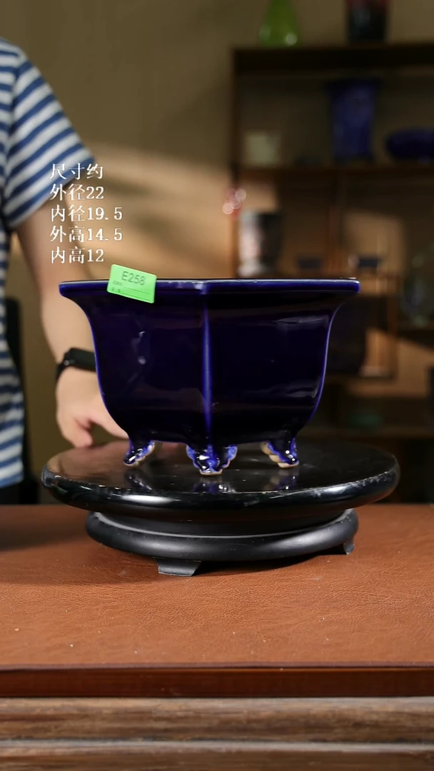 10寸六角盆   258