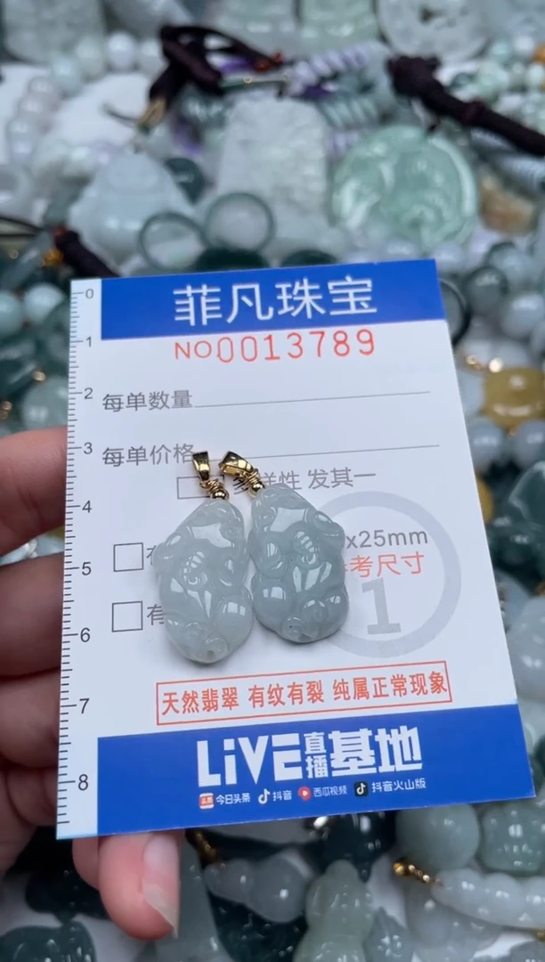 颈饰未镶嵌翡翠13789