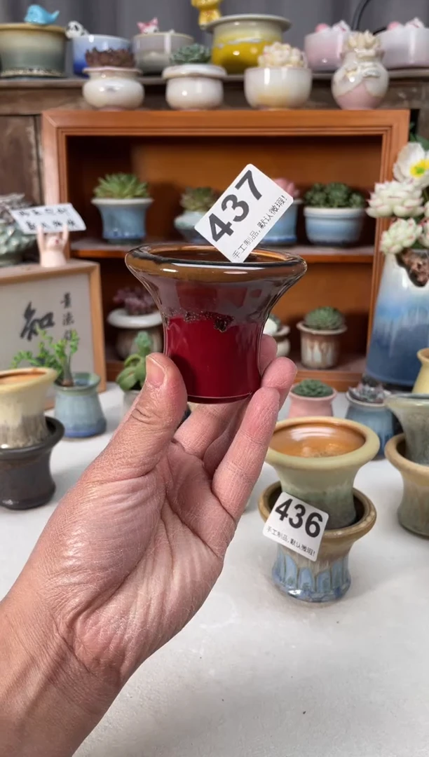 瓷片初*ヾ437小芳直播编号