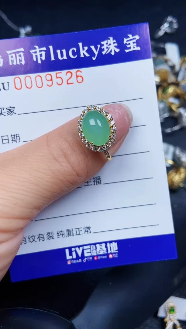 翡翠银S925镶嵌颈饰9526