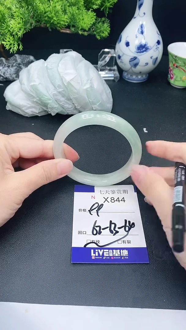 未镶嵌手镯翡翠844