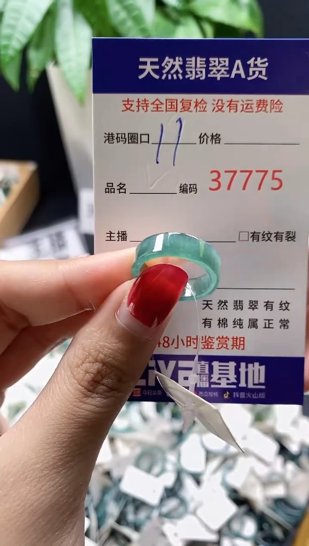 翡翠戒指未镶嵌 天然翡翠戒圈7775