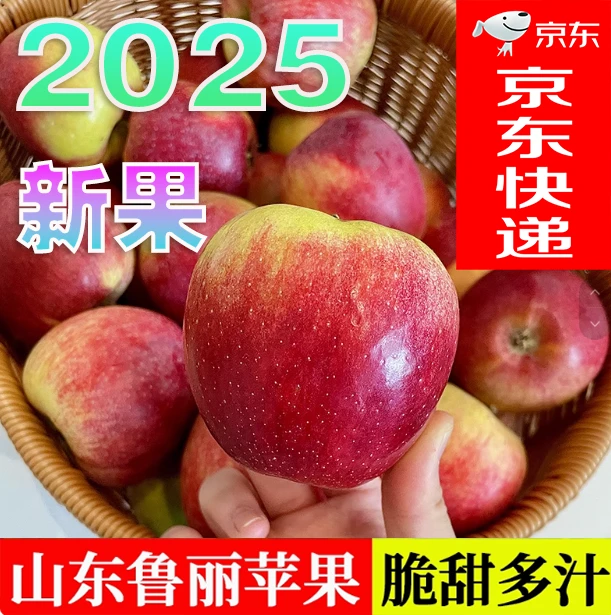 NoSD【2025头茬果】正宗鲁丽苹果现摘当季水果脆甜新季产地直发