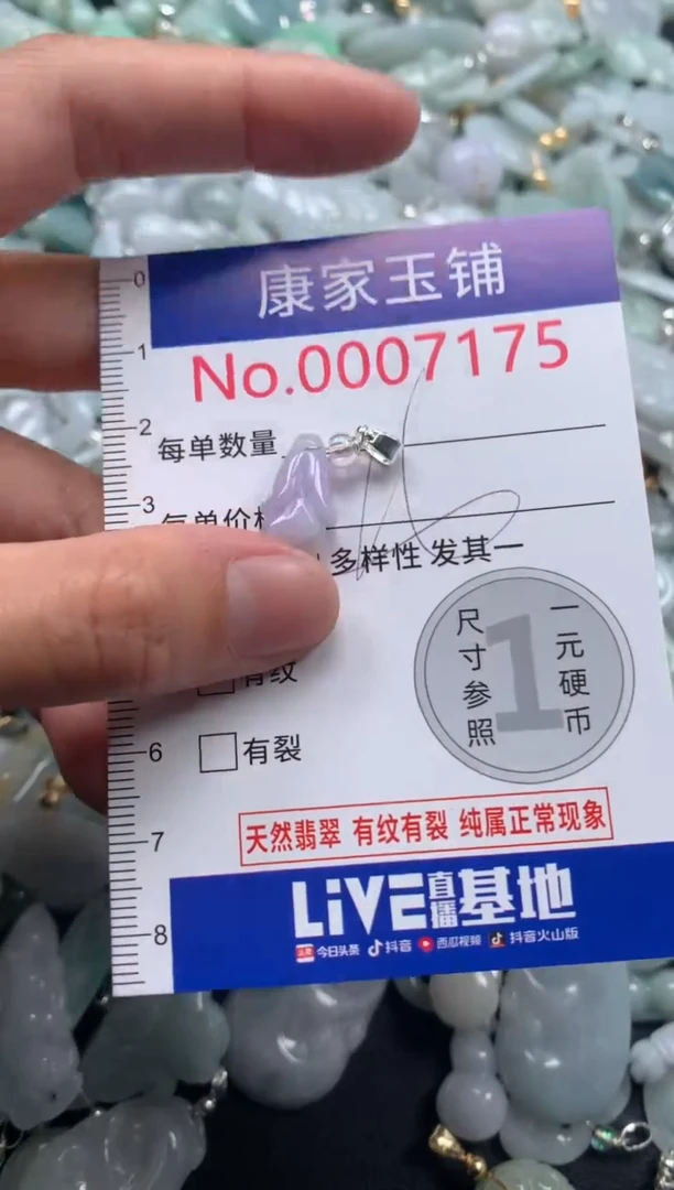 颈饰未镶嵌翡翠7175