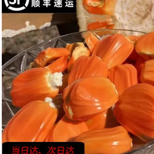 【只发河南】印尼红肉菠萝蜜一颗16斤顺丰冷链现切鲜