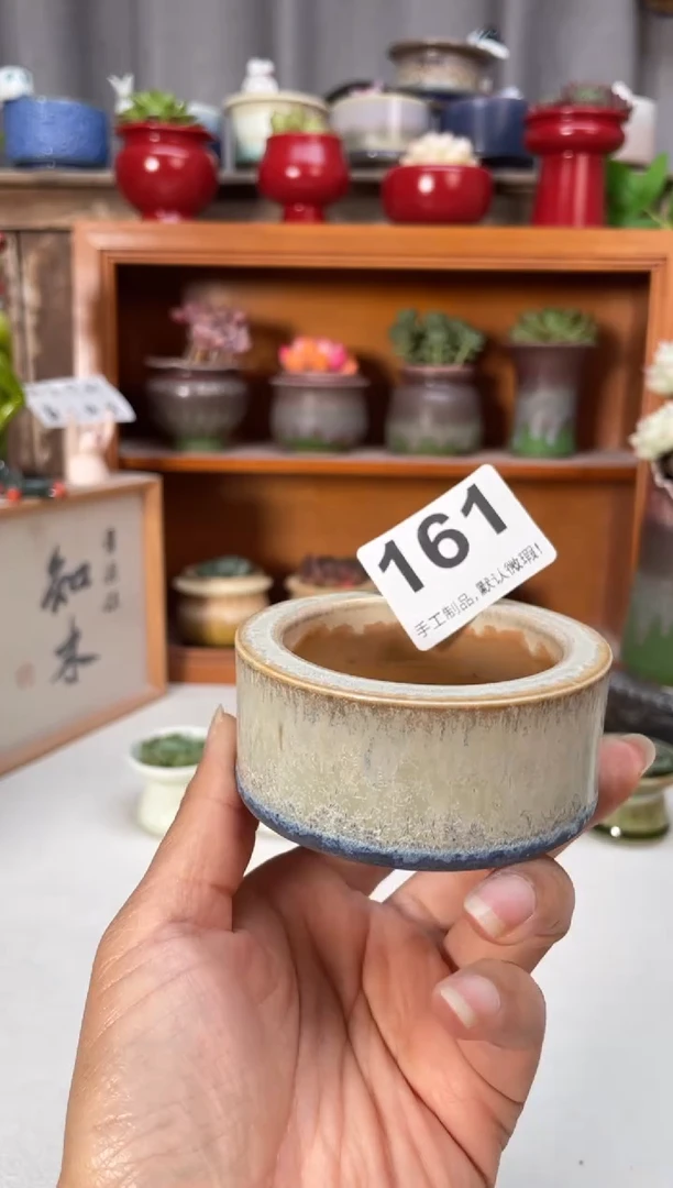 瓷片161小芳花盆直播编号