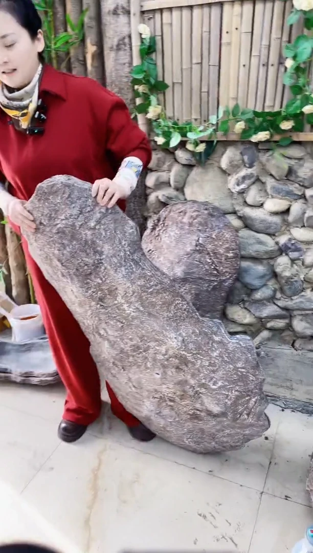 【闪购商品】复合盆景盆p5-008