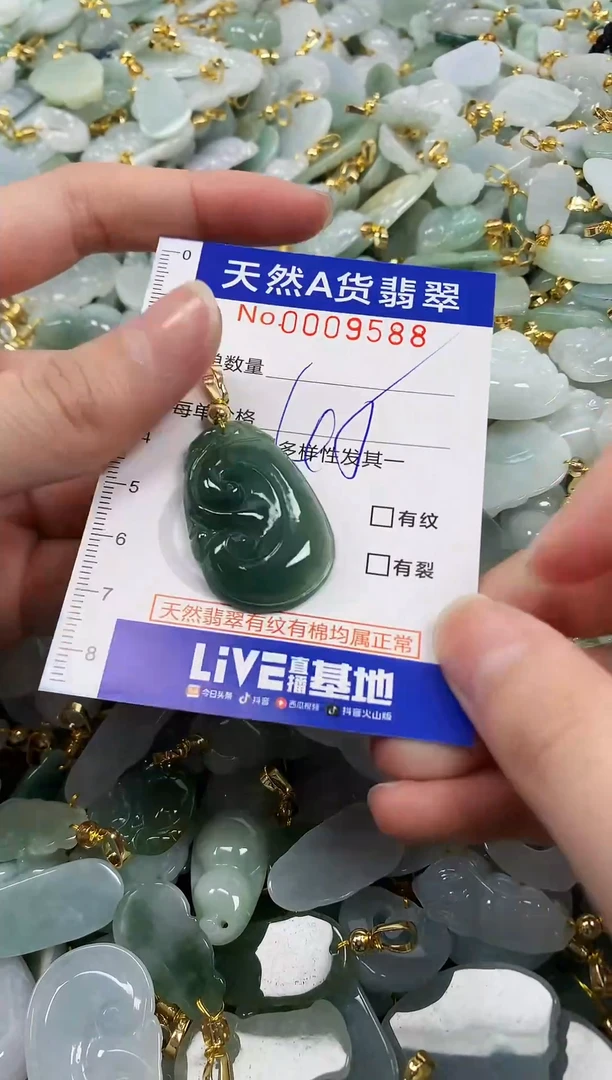 颈饰未镶嵌翡翠纯天然a货翡翠