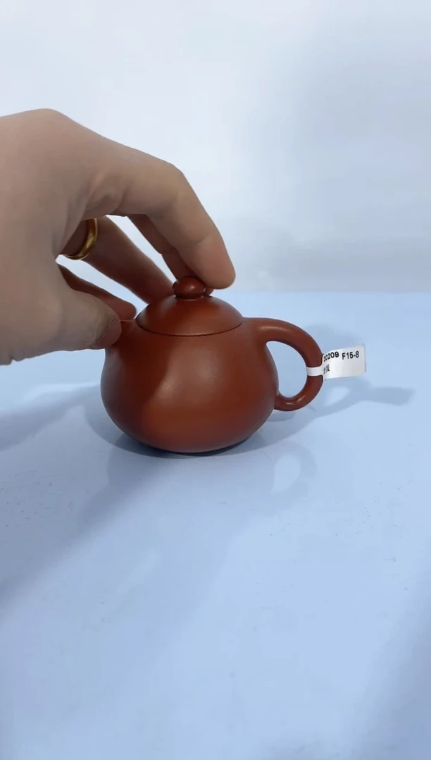【闪购商品】紫砂茶壶源头精品手工作品30209