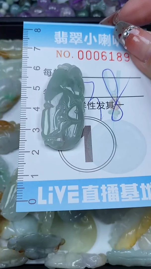 【闪购商品】翡翠颈饰未镶嵌闪购0006189