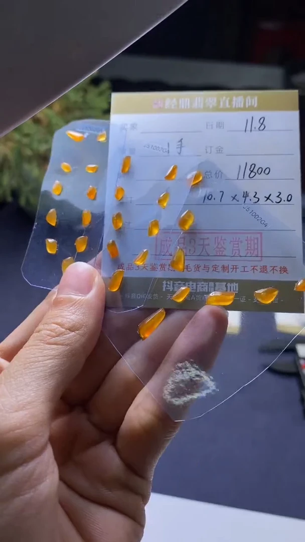 颈饰未镶嵌翡翠挂饰
