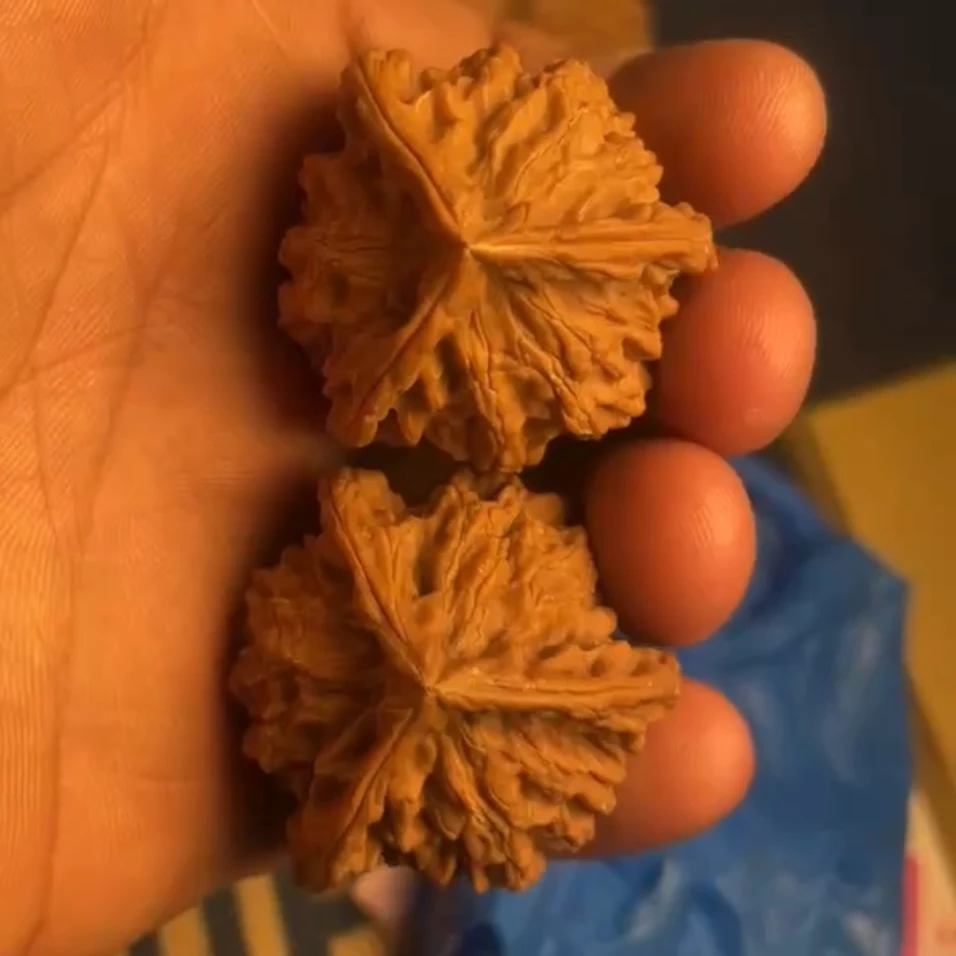 文玩核桃苹果园白狮子